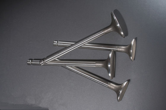 1425ccmはYanmar 3T84 3TNA84 4TNC88のための容積の排気のディーゼル機関弁を掃除しました