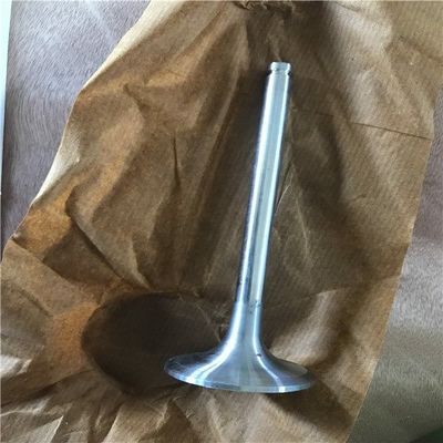 WL/前/E2500/B2500ディーゼル機関の取入口およびExhaul弁OEM WL01-12-121