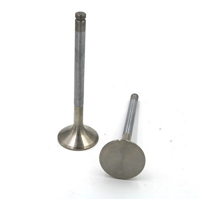 WL/前/E2500/B2500ディーゼル機関の取入口およびExhaul弁OEM WL01-12-121